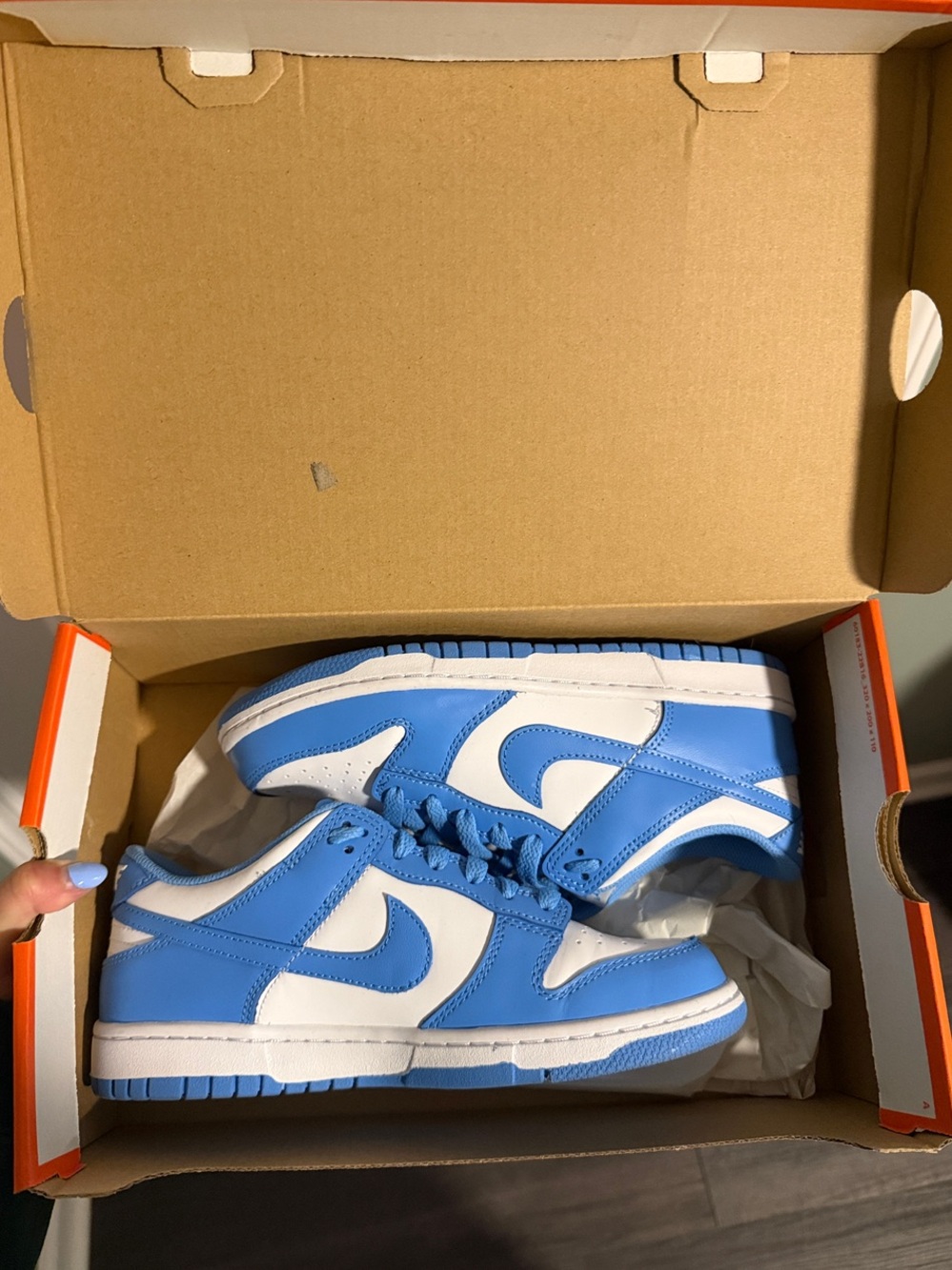 Nike Dunks - blue & white